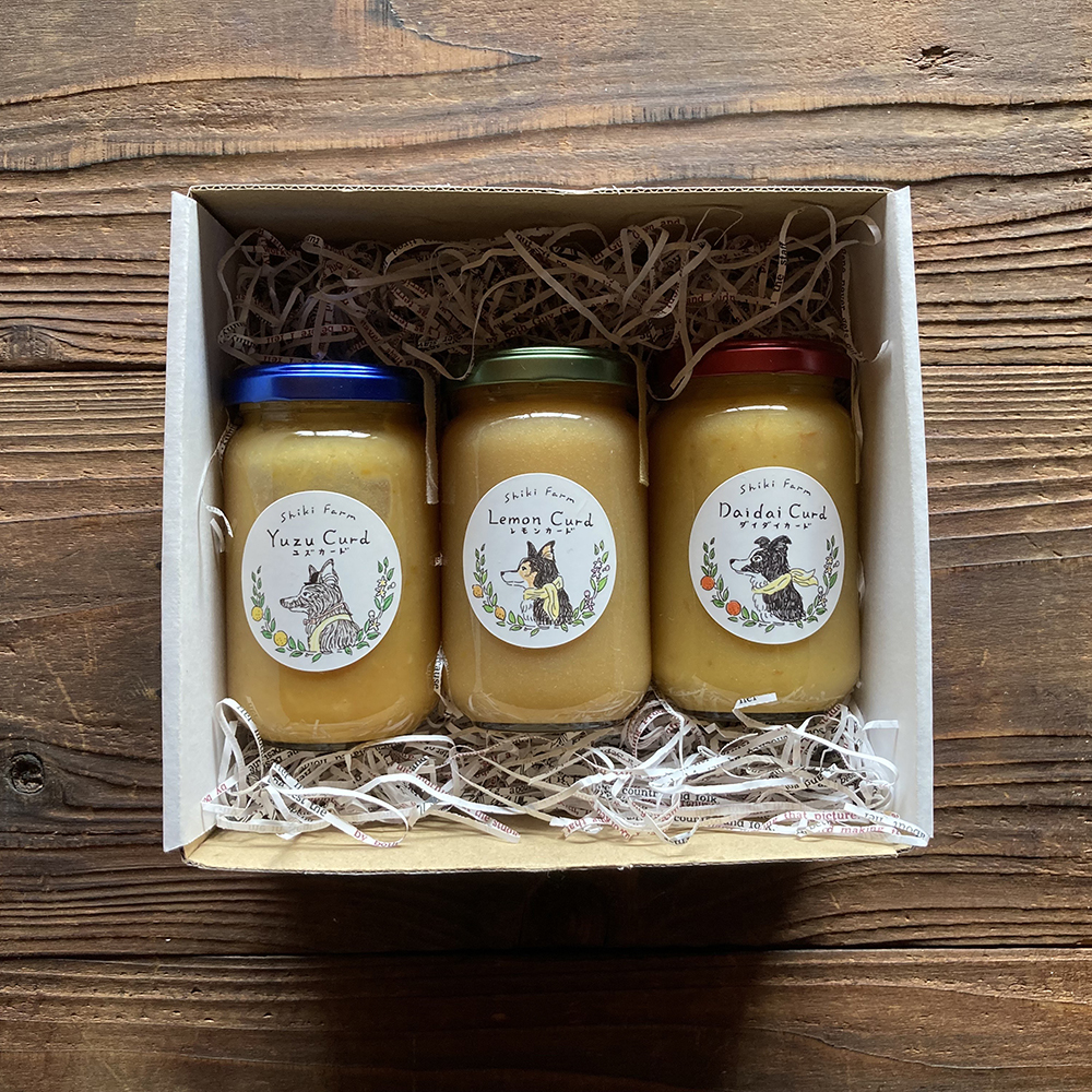 フルーツカード詰合せ 180g3本セット 島の幸々 | よろずを継ぐもの