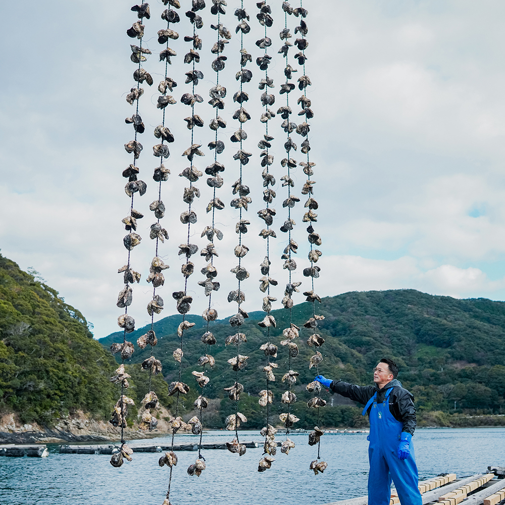 上五島産養殖岩牡蠣（生食用）10個入（※2月15日頃～7月31日頃までの期間限定販売）
