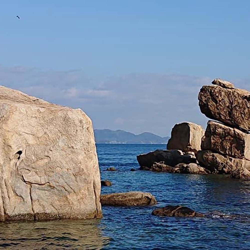 冷凍殻付き牡蠣 喜多嬉かき（加熱用） 12粒入り 島の幸々 | よろずを