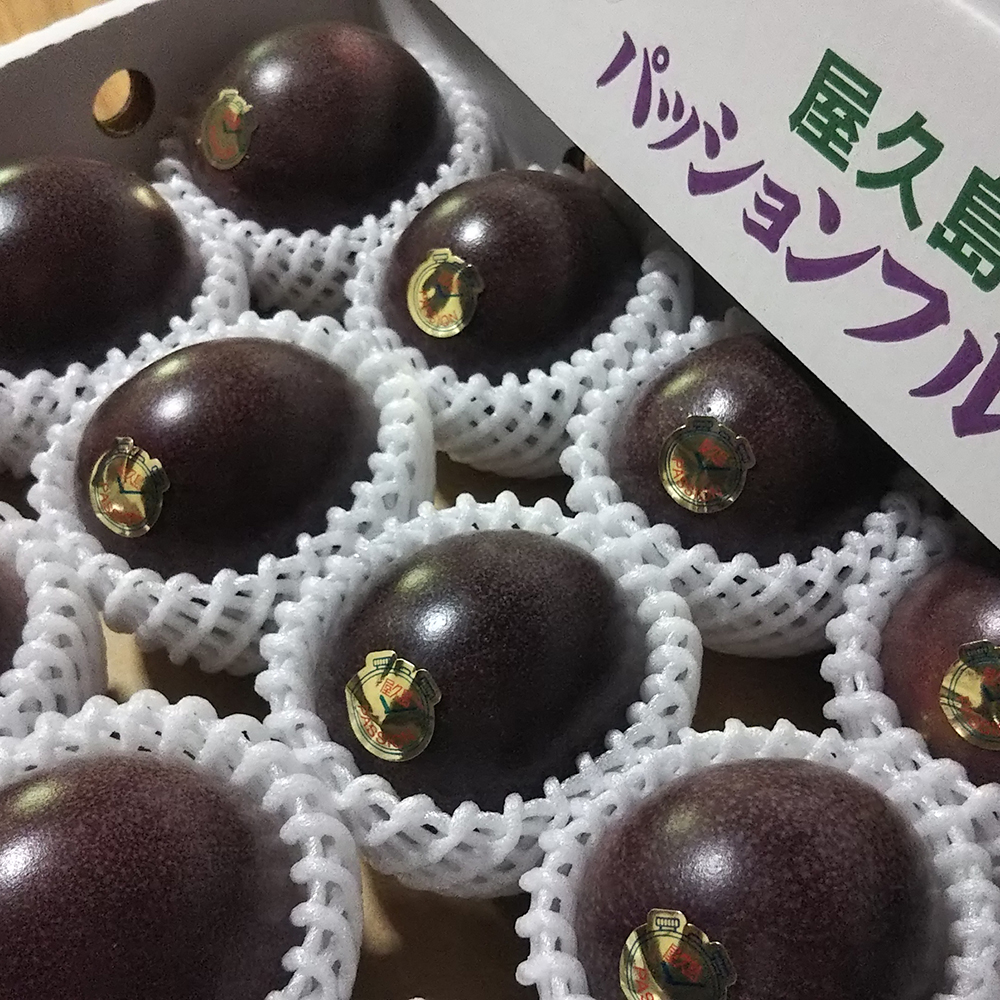 パッションフルーツ 島の幸々 | よろずを継ぐもの｜継ぐべきものを