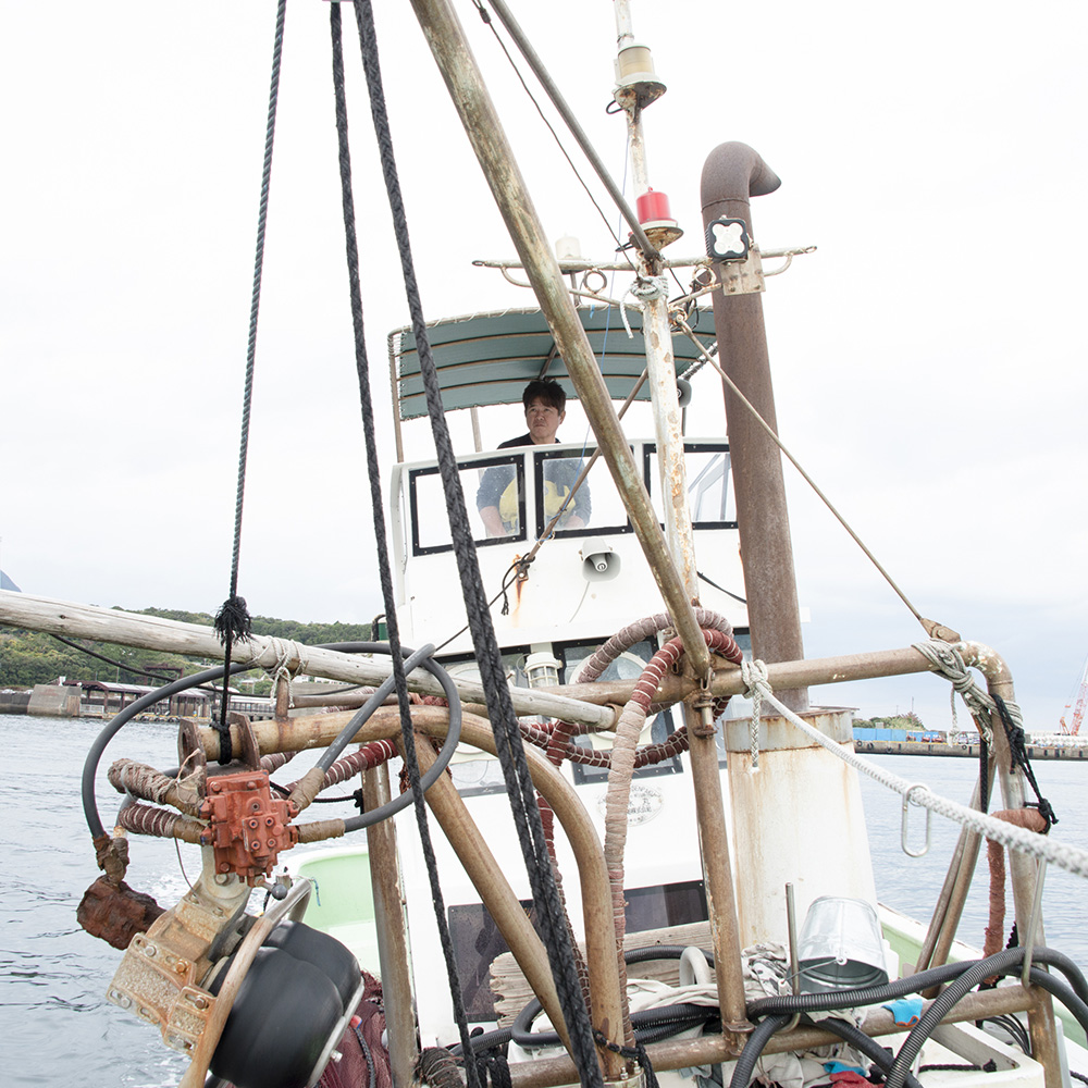 漁師直営!! ～安永丸～屋久島産飛魚詰合せ 豊漁箱 島の幸々 | よろずを