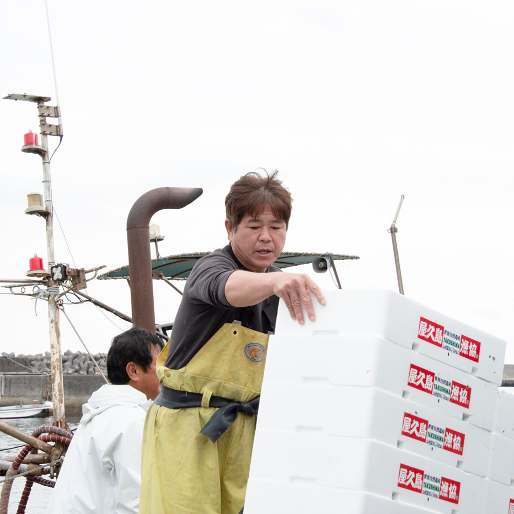 漁業の方作業に　セット格安 ちょっとSOKOまで天秤セット S、M、L | 釣具の卸売り | 世界の釣具