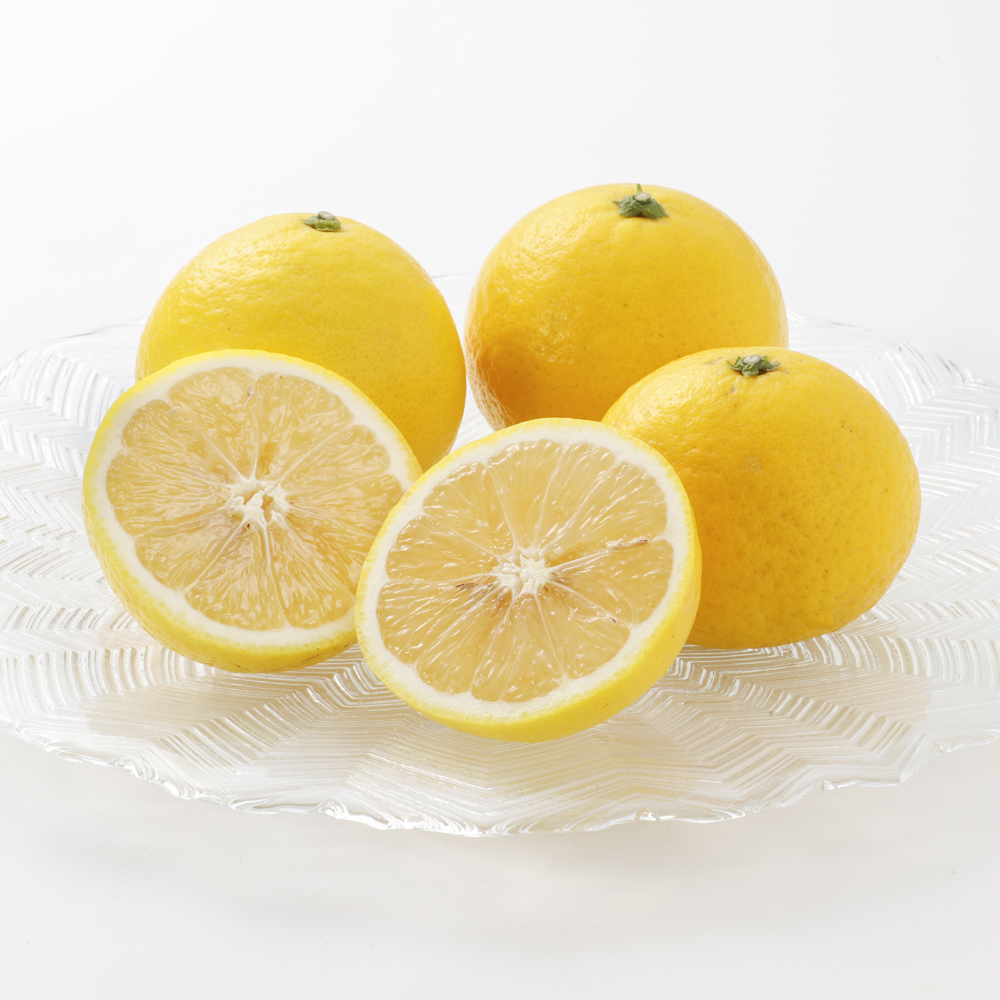 平戸夏香（ひらどなつか） 島の幸々 | よろずを継ぐもの｜継ぐべきもの