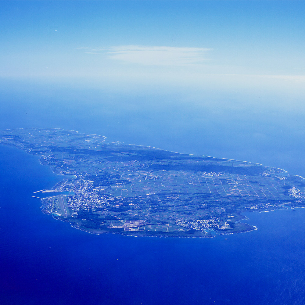 喜界島の白ごまセット 島の幸々 | よろずを継ぐもの｜継ぐべきものを