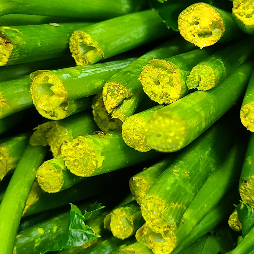 はじめての明日葉セット 島の幸々 | よろずを継ぐもの｜継ぐべきものを