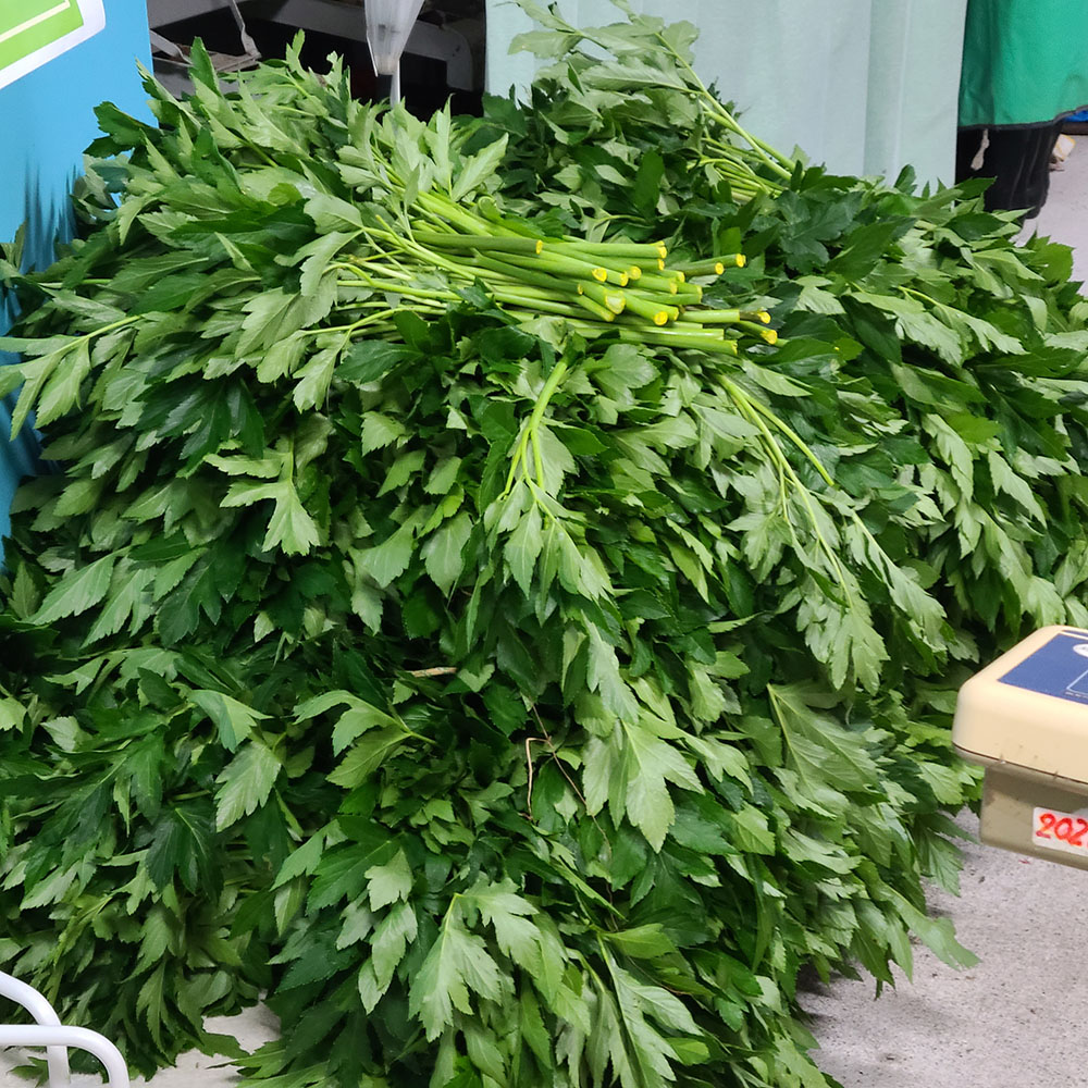 はじめての明日葉セット 島の幸々 | よろずを継ぐもの｜継ぐべきものを