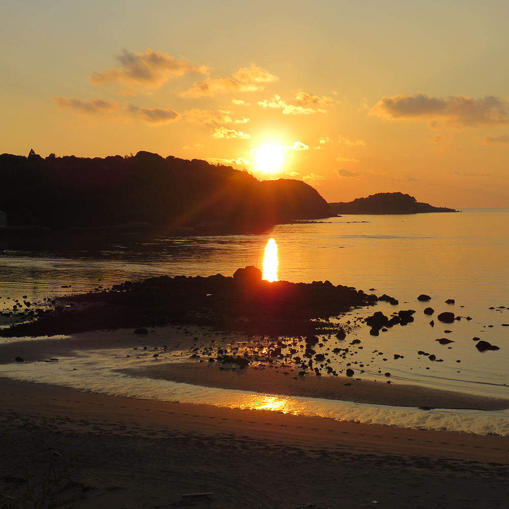 高級粒うに（瓶入り） 島の幸々 | よろずを継ぐもの｜継ぐべきものを