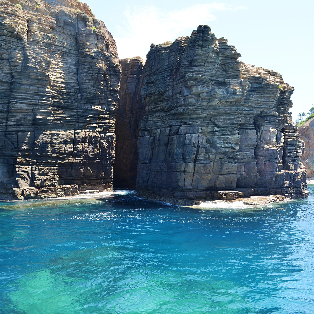 高級粒うに（瓶入り） 島の幸々 | よろずを継ぐもの｜継ぐべきものを