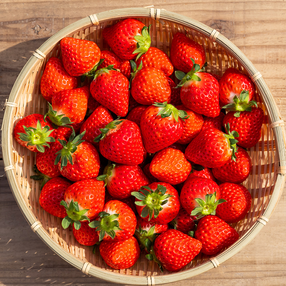 なかとさ苺ブラウンビールセット 道のえきから | よろずを継ぐもの