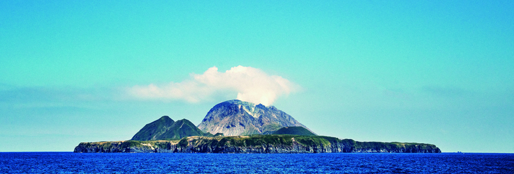 いおう「椿油」/島の幸々 | よろずを継ぐもの｜継ぐべきものをよろず