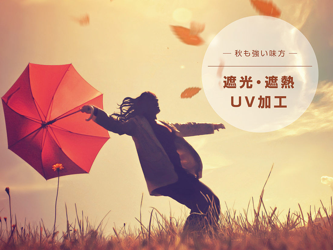 NUTS/ 傘もよう | よろずを継ぐもの｜継ぐべきものをよろず集めたモール