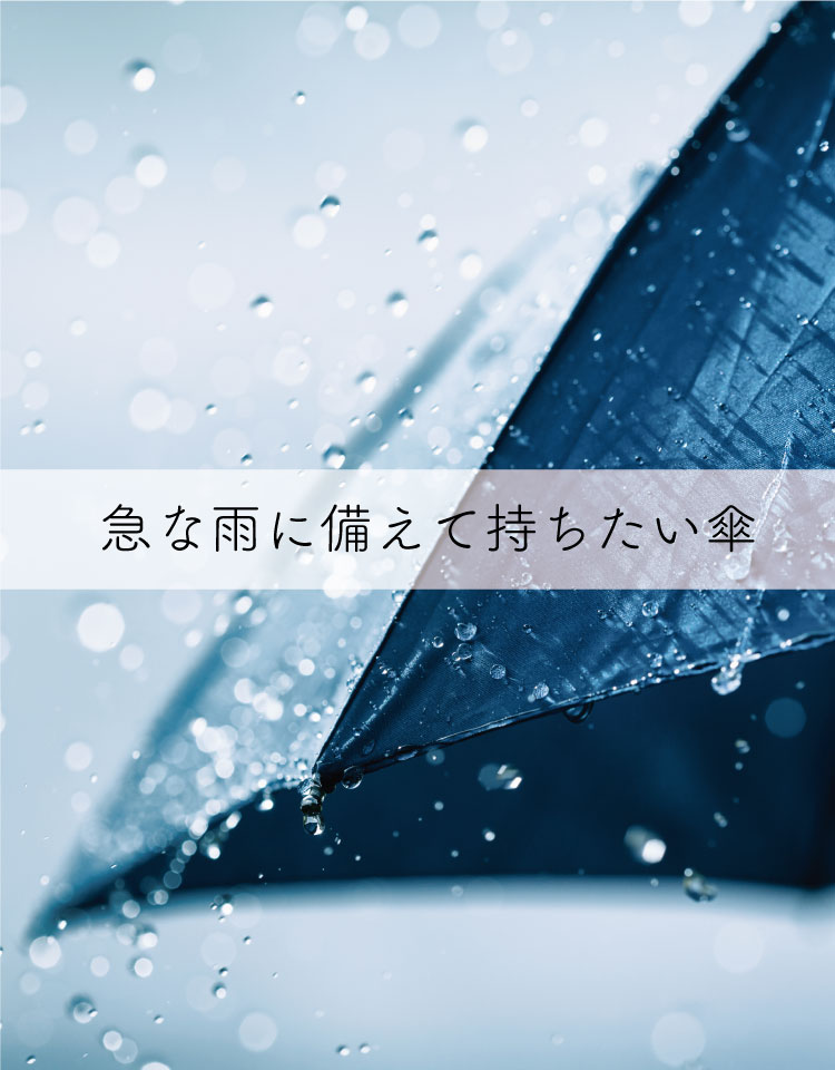✨美品✨ DiCesare Designs 傘 晴雨兼用 水色 DiCesare Designs》晴雨兼用日傘 KABOCHA 1TONE(MINERAL NAVY