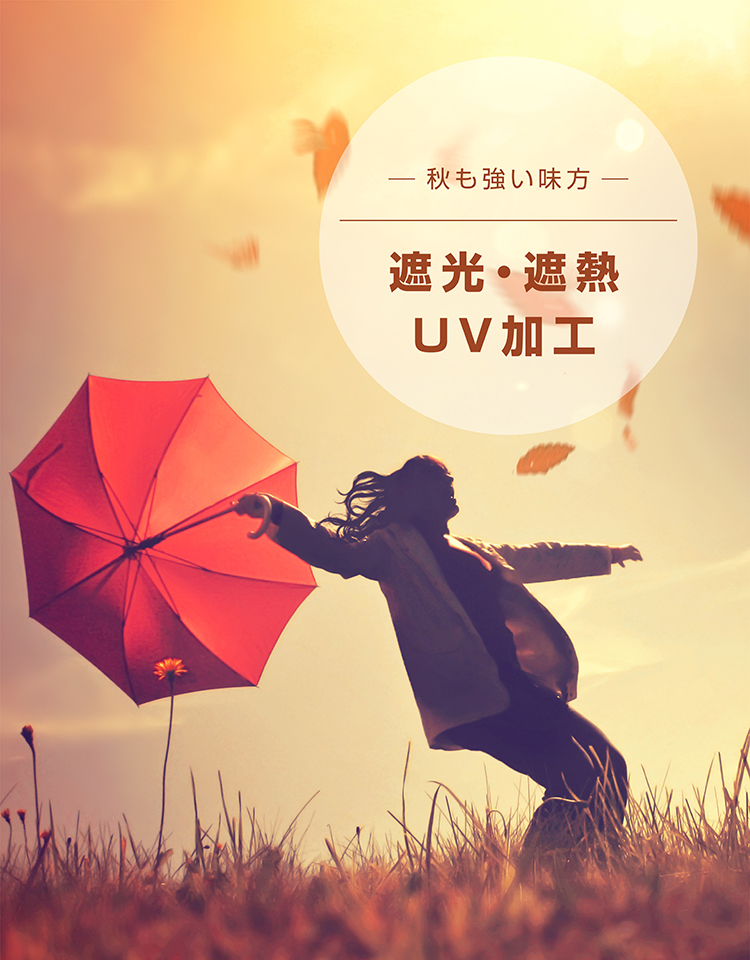 NUTS/ 傘もよう | よろずを継ぐもの｜継ぐべきものをよろず集め